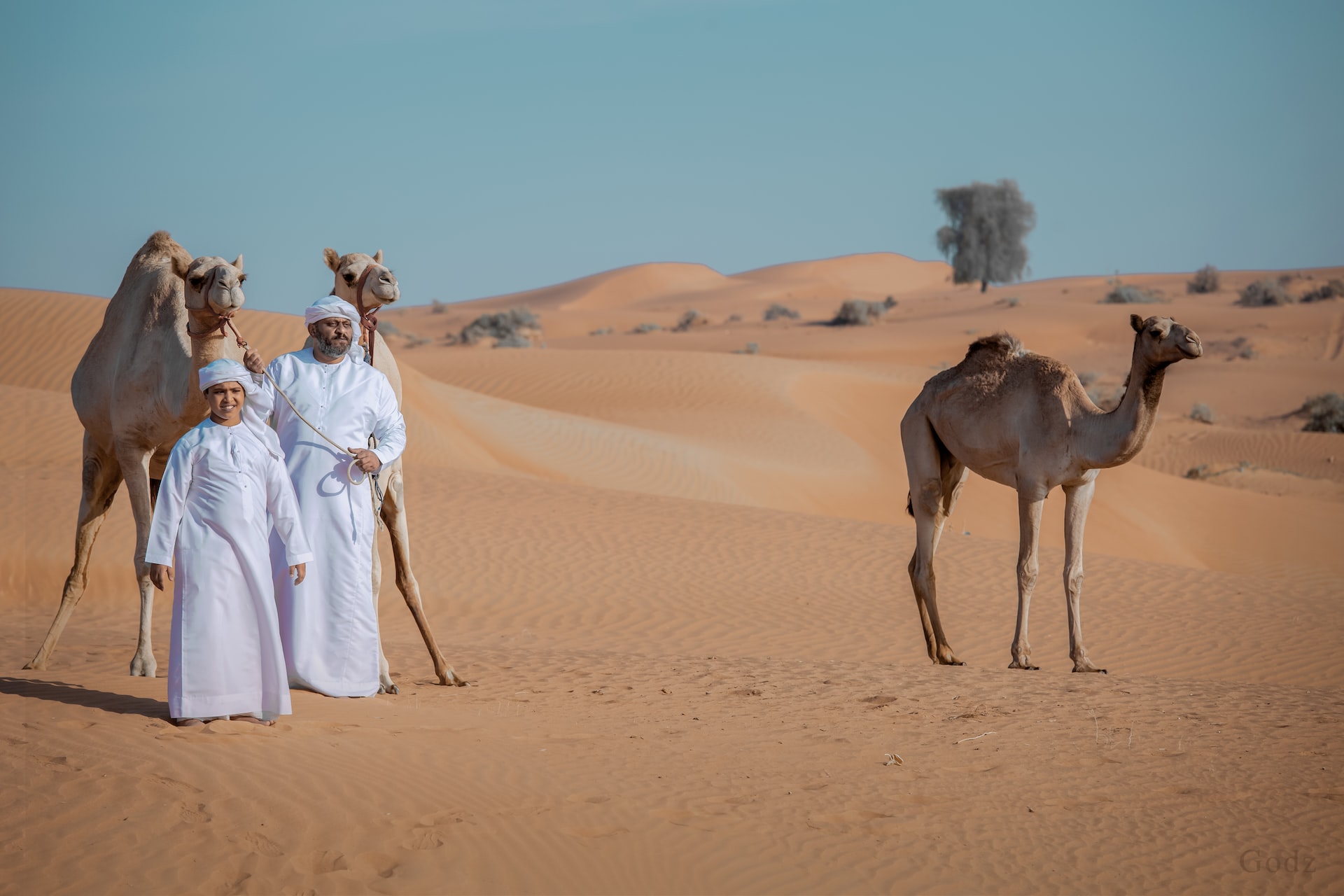 What to Do on Desert Safari Tour in Dubai?